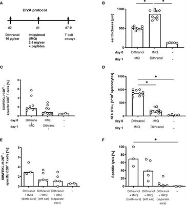 Optimized dithranol-imiquimod-based transcutaneous immunization enables tumor rejection